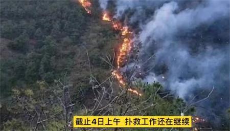 观山村委会发展规划，迈向繁荣和谐未来