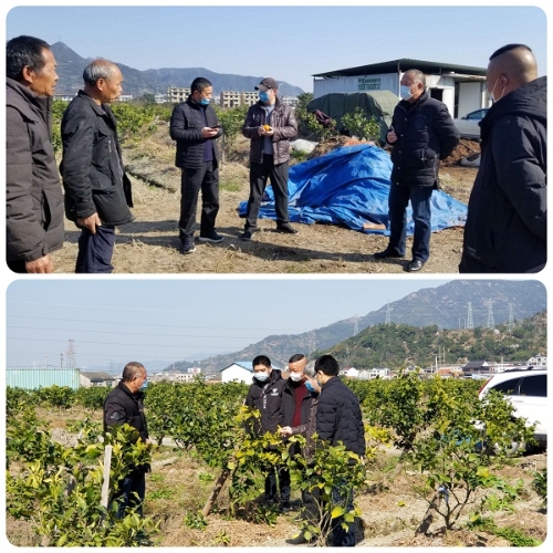 马尾区农业农村局最新项目，推动农业现代化，助力乡村振兴