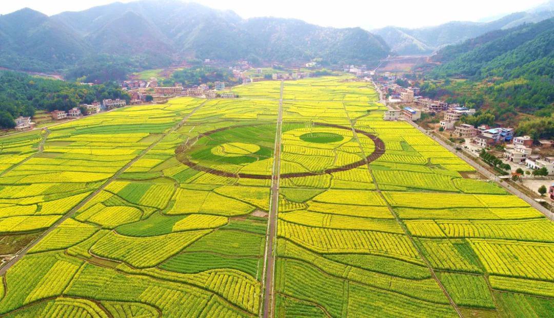 库宗乡新项目，地方发展的强大推动力