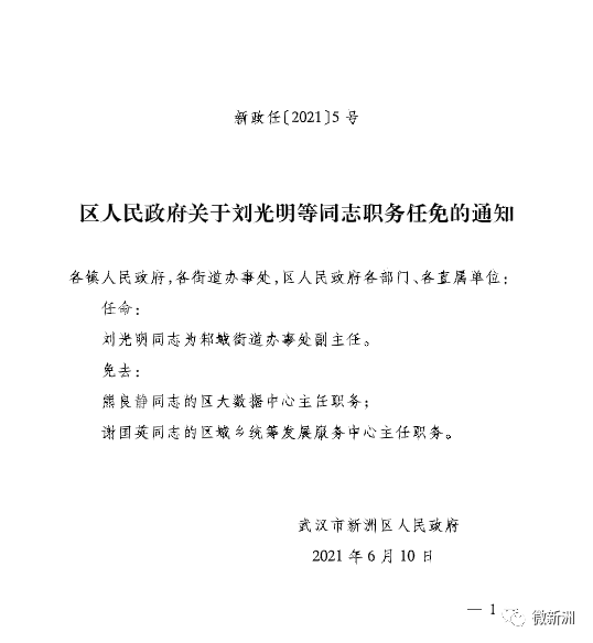 武湾村委会最新人事任命，推动村级治理再上新台阶