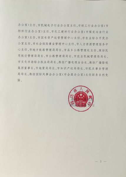 苏尚村委会人事大调整，重塑领导团队，引领乡村未来发展