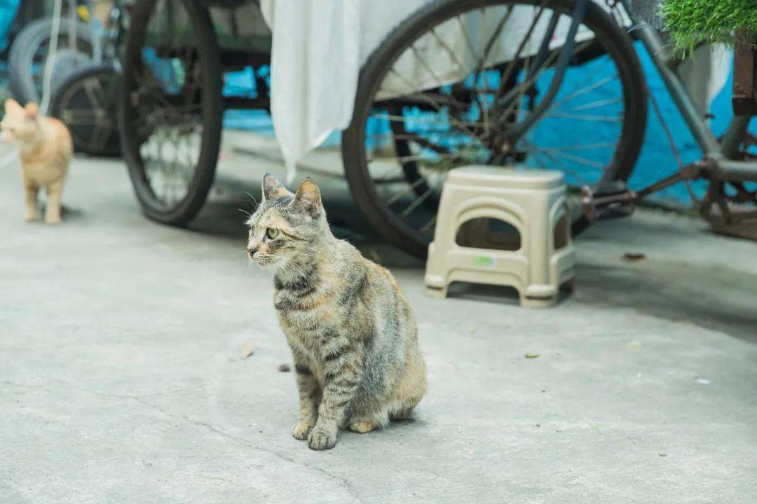 钧台街道最新天气预报