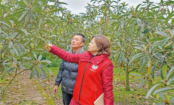 广阳区科技局发展规划引领科技创新，促进区域繁荣新篇章