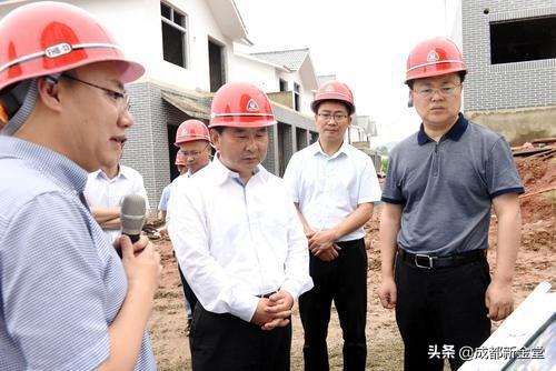 隆盛镇未来繁荣新蓝图，最新发展规划揭秘