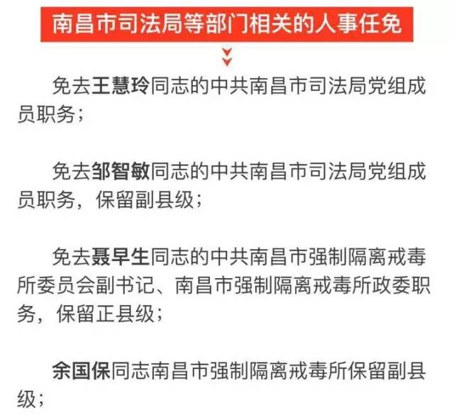 宁安市科技局最新人事任命动态及其深远影响